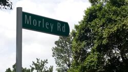 Morley Road (D10), Detached #541855321